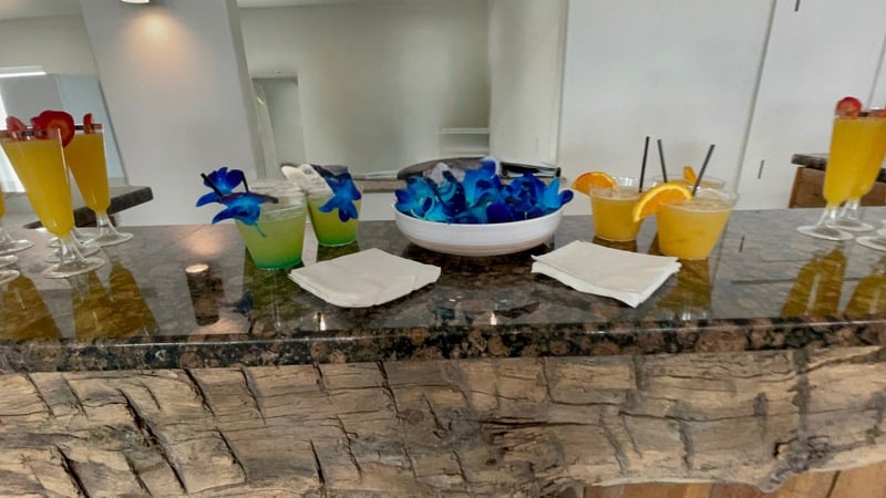 Wedding cocktails arranged across a reception bar